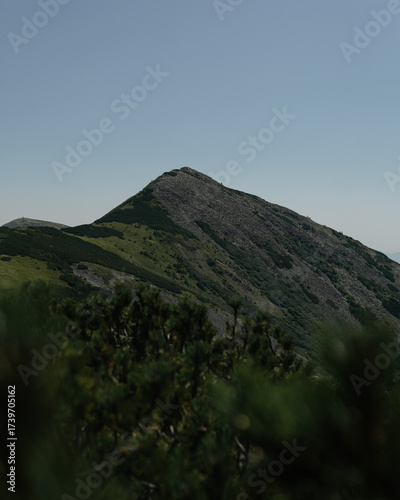 Top green mountains in the Ukraine Gorgany