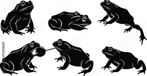 Frog silhouette illustration set, leaping, sitting, climbing, resting, feeding pose, water ripple, vector design