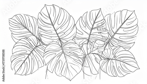 Oversized Leaf Monoline Arrangement