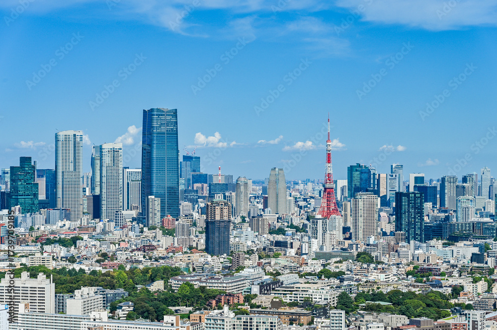 Fototapeta premium 日本の首都東京