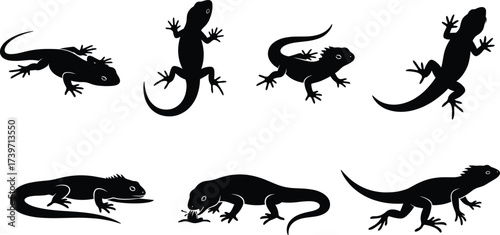 Lizard silhouette illustration set, crawling, standing, feeding pose, reptile anatomy, clawed limbs, vector design
