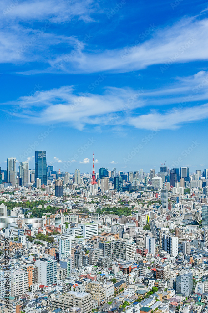 Fototapeta premium 日本東京の都市風景