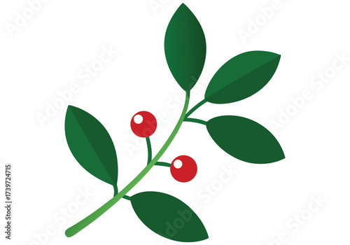 Vector art of a sprig of holly with red berries and green leaves, isolated on a white background