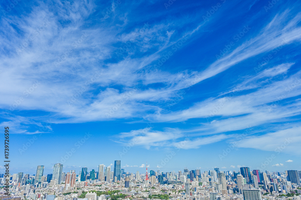 Fototapeta premium 日本東京の都市風景