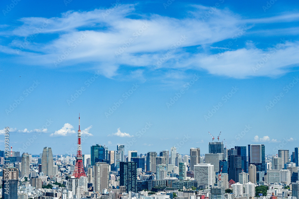 Fototapeta premium 日本東京の都市風景