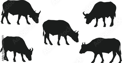 Cow silhouette vector, grazing walking standing poses, farm livestock icon, CAD drawing, flat vector illustration, nature animal profile set