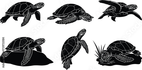 Sea turtle silhouette illustration set, swimming, crawling, resting, perched pose, aquatic habitat, black vector design