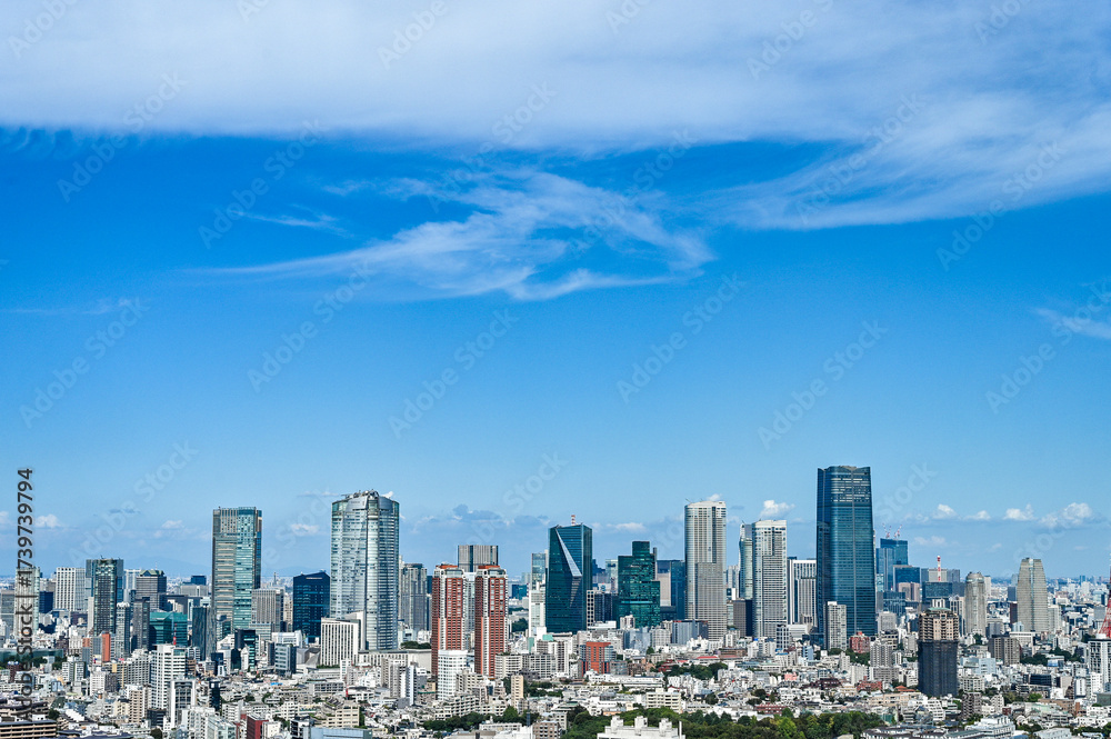 Fototapeta premium 日本東京の都市風景