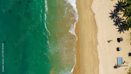 A stunning top-down aerial view of emerald ocean waves gently meeting a golden sand beach with palms
