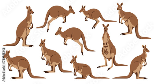 A collection of different kangaroo poses and actions depicted in an illustration.