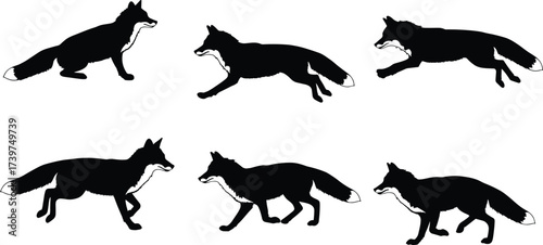 Fox silhouette walking running sequence, animal motion poses, wildlife vector illustration, black fox shape, cad drawing flat vector illustration