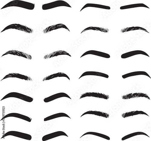 set of eyebrows vector in white background