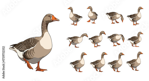 Animated pixel art goose walking cycle with separate idle sprite.