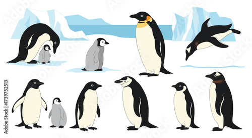 A charming collection of diverse penguins in their natural icy habitat featuring adults and chicks.
