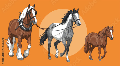 Three horses of different sizes and colors walk together in a field with a large orange circle in the background.