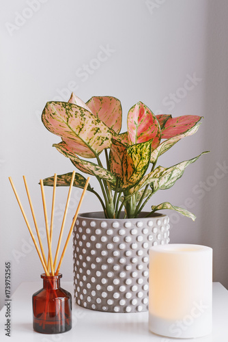 Aroma diffuser with wooden sticks, Aglaonema potted plant and a small lamp on a bedside table. Aromatherapy, self care and mindfulness concept