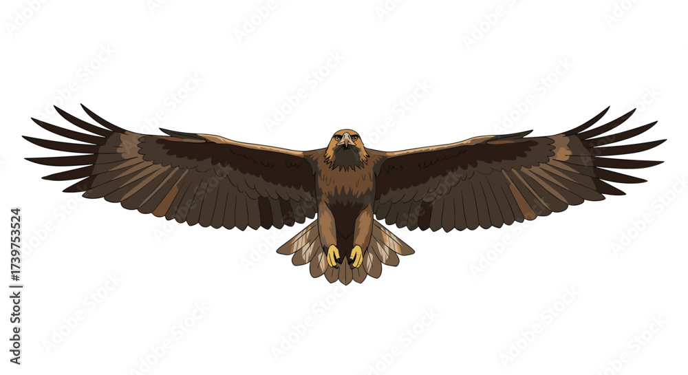 Obraz premium Majestic bird of prey soars through the sky with wings outstretched displaying its impressive wingspan and keen eyesight from above.