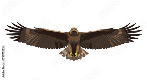 Majestic bird of prey soars through the sky with wings outstretched displaying its impressive wingspan and keen eyesight from above.