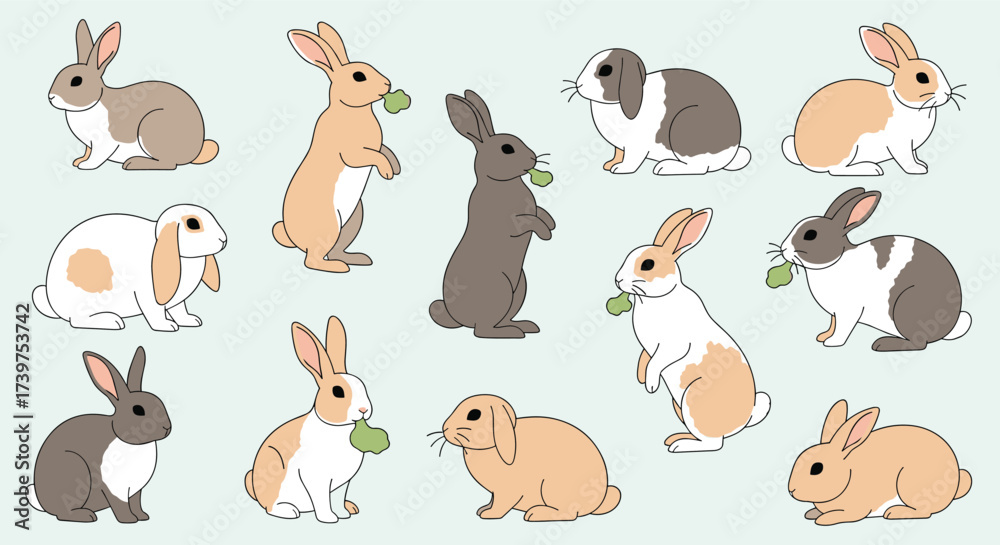 Obraz premium A charming collection of various bunny rabbits enjoying fresh green leaves as a delightful snack.
