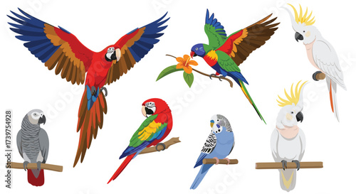 A colorful collection of various parrots perched on branches.