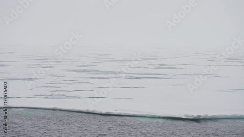 Expansive polar seascape with drifting sea ice and a melting pack edge under a misty, overcast sky, revealing dark open water leads and fractures across the flat, frozen horizon