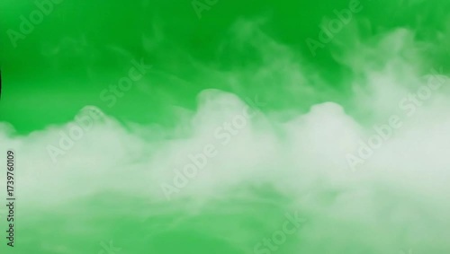 Green fog or mist background with soft white cloud layer  