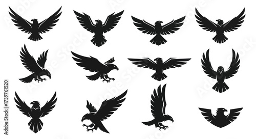 Dynamic collection of powerful eagle and hawk silhouettes in various flight poses, including soaring, landing, and attacking, with wings spread and talons extended, isolated on a clean white