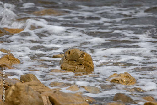 Fototapeta Naklejka Na Ścianę i Meble -  The rough Adriatic Sea in Croatia, waves lapping the stones on the beach Rab Croatia