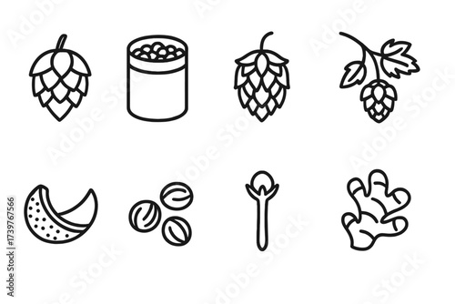 Brewing Herb Icons. Line style icons of hops and brewing herbs: fresh hops, pellet hops, dry hops, hop vine, orange peel,