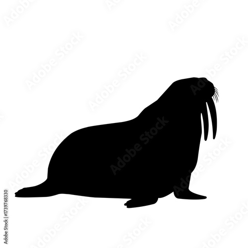 Simple walrus silhouette illustration with tusks, vector design suitable for logo, emblem, wildlife conservation, and marine themed projects