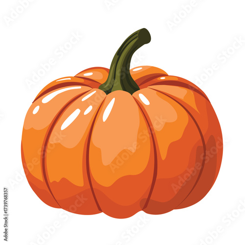 Pumpkin, vector illustration, bright with highlights and shadows