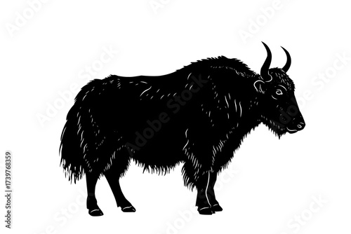 Detailed silhouette illustration of a yak with horns and shaggy fur, Himalayan mountain animal artwork for wildlife, nature, and educational projects