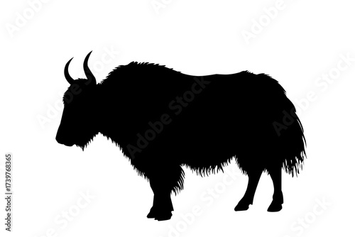 Simple yak silhouette vector illustration with horns, Himalayan mountain cattle artwork for logo, emblem, wildlife, and cultural themed designs