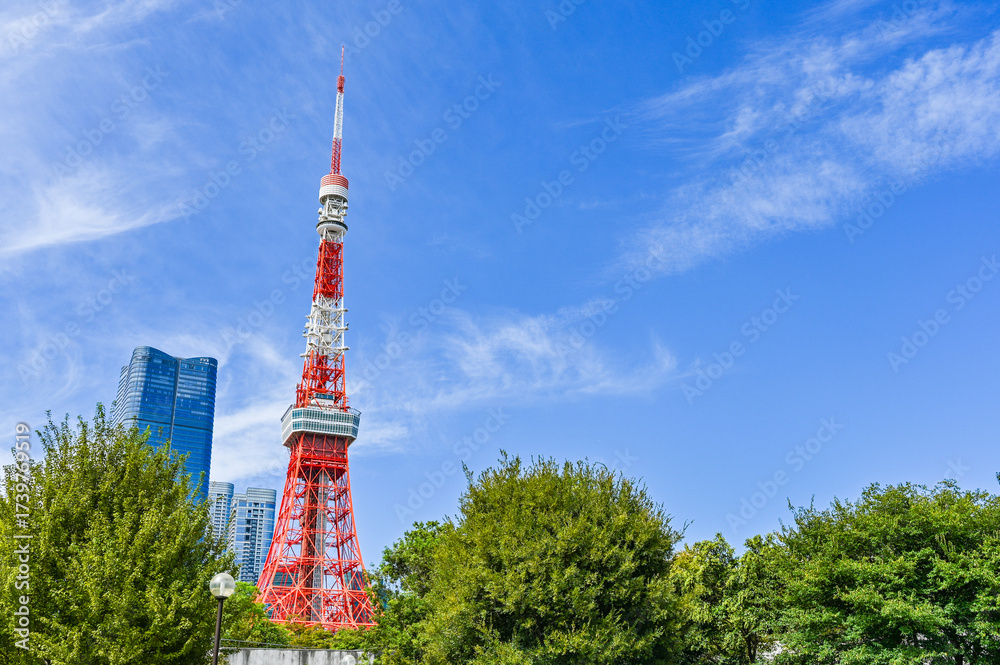 Obraz premium 東京の芝公園からの風景