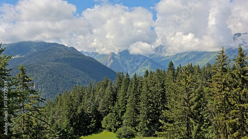  Mountain landscape with forest under a cloudy sky in La Vanoise nature reserve, Savoie, France
