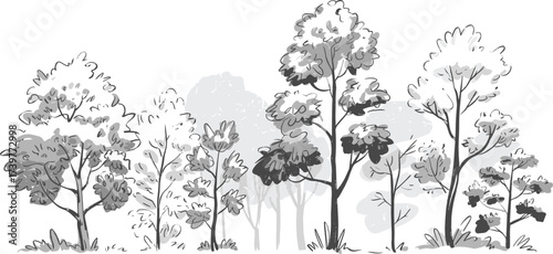 Forest landscape, monochrome tree illustration, nature silhouette, black and white vector, woodland scene, CAD drawing flat vector illustration