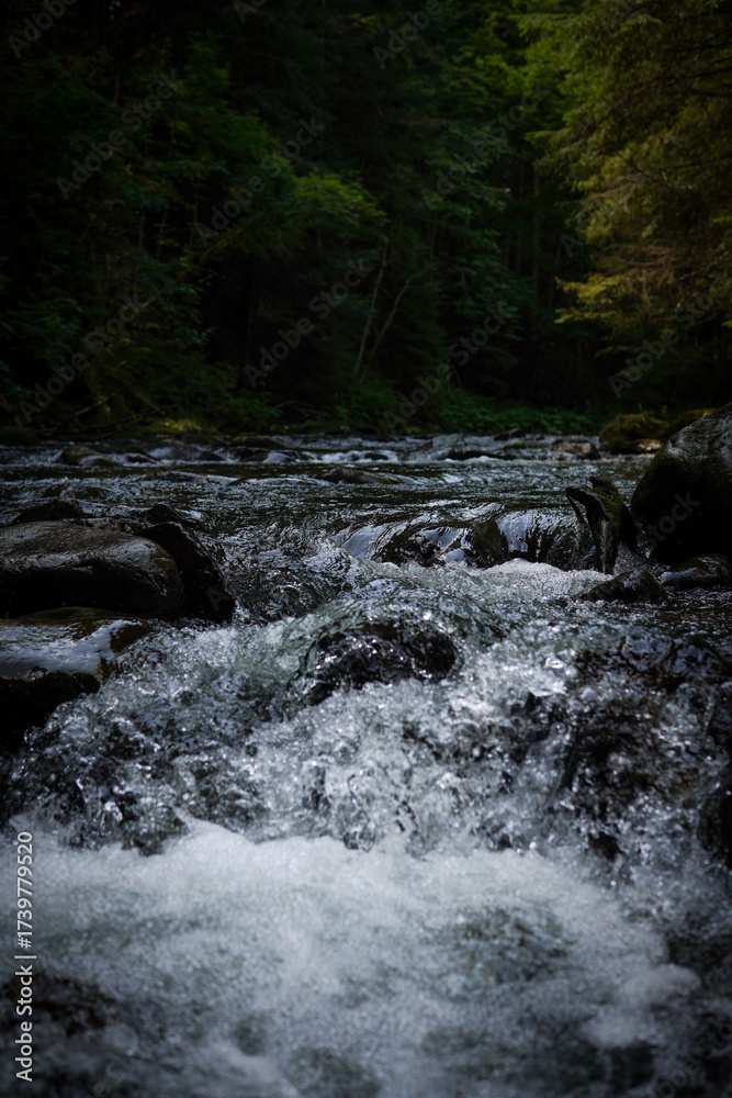 Fototapeta premium Forest lake in the mountains
