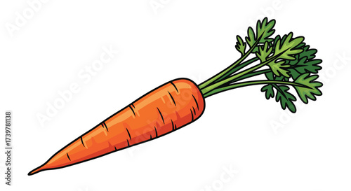 A single vibrant orange carrot with a bushy green leafy top.