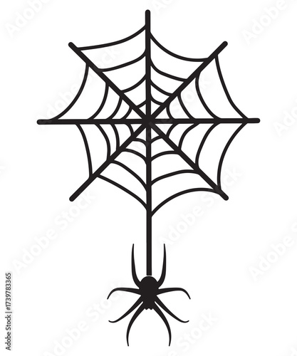 spider on web