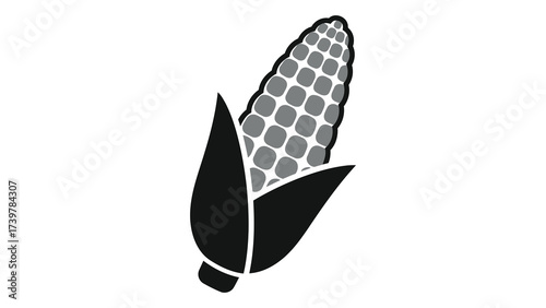 Corn cob icon isolated on white background featuring maize crop, organic vegetable, farm harvest, botanical plant, healthy food, seed kernel, and nature diet symbol.