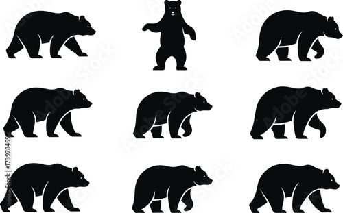 Bear walking cycle silhouettes, black vector set, animal motion poses, wildlife clipart, isolated anatomy graphics, animation reference icons