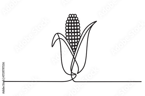 Maize ear in continuous line art style. Single line drawing illustration of vegetarian food. one line Icon drawing with white background