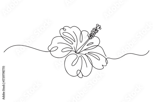 Hibiscus Flower Continuous Line Drawing Vector Illustration. one line Icon drawing with white background