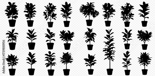 Collection of black silhouette potted plants with various shapes and sizes against a transparent background, ideal for graphic design elements.