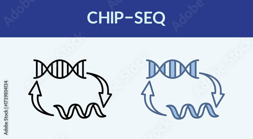 Chip Sequencing Multiple Style Icon Collection