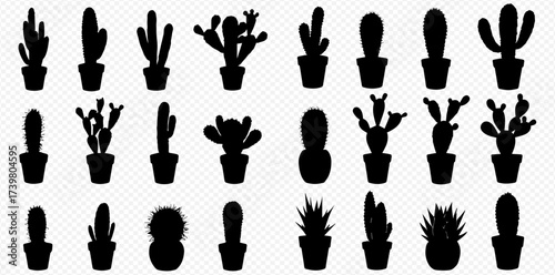 A collection of black silhouette icons featuring various potted cacti and succulent plants in different shapes and sizes.