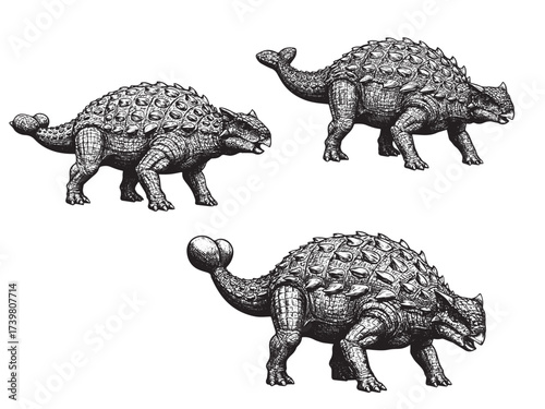 Ankylosaurus Defense Pose Vintage Engraved Prehistoric Dinosaur Illustration Vector