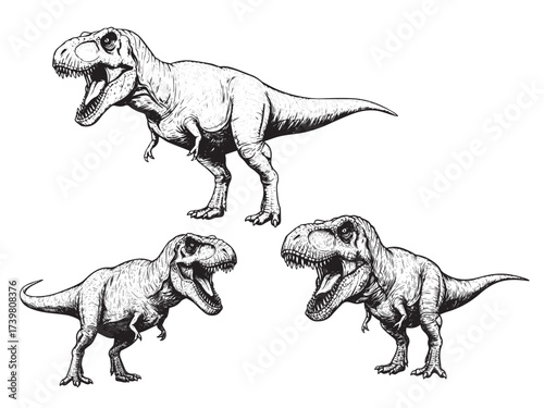 Tyrannosaurus Rex Roar Vintage Engraved Prehistoric Dinosaur Illustration Vector