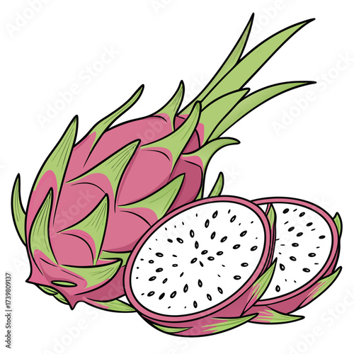 Dragon fruit vector art  on white background