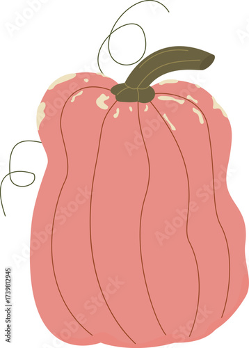 Pumpkin, autumn vegetable for Halloween. Classic autumn squash drawn in doodle style. Pink pumpkin with curly stem. Flat vector illustration of cute pumpkin isolated on white background.